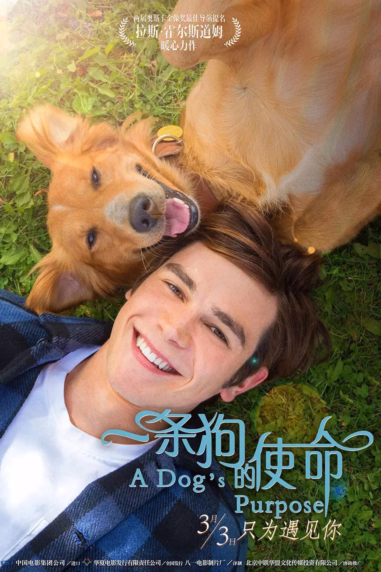 一条狗的使命
       (2017)