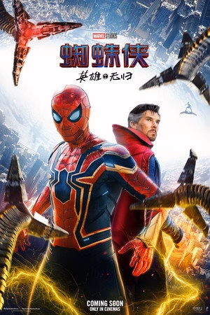 Spider-Man: No Way Home
       (2021)