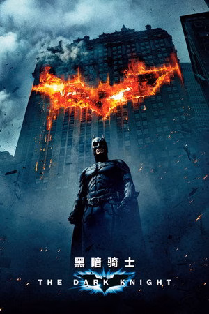蝙蝠侠：黑暗骑士
       (2008)