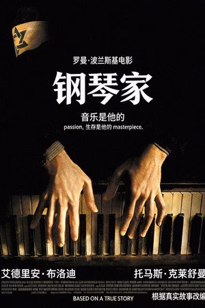 钢琴家
       (2002)