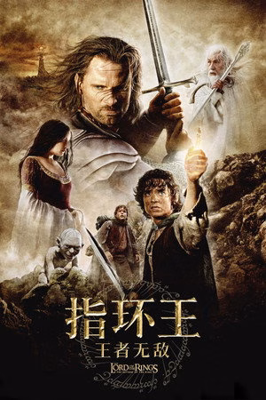 指环王3：王者无敌
       (2003)